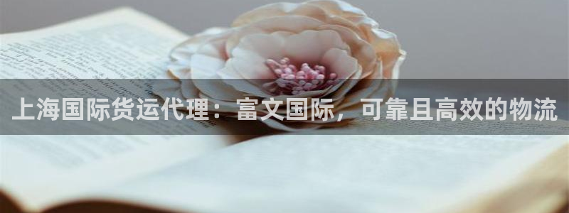 尊龙新版手机app下载：上海国际货运代理：富文国际，可靠