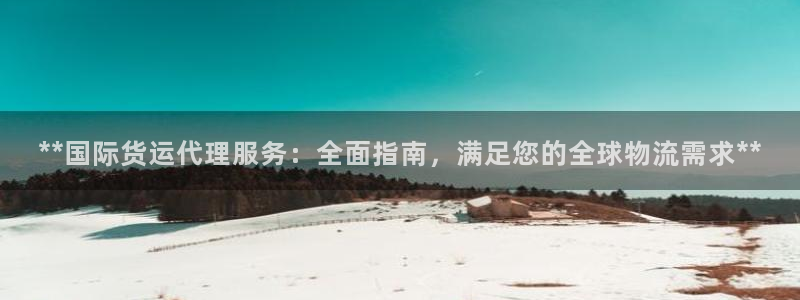 尊龙人生就是博ag旗舰厅：**国际货运代理服务：全面指南