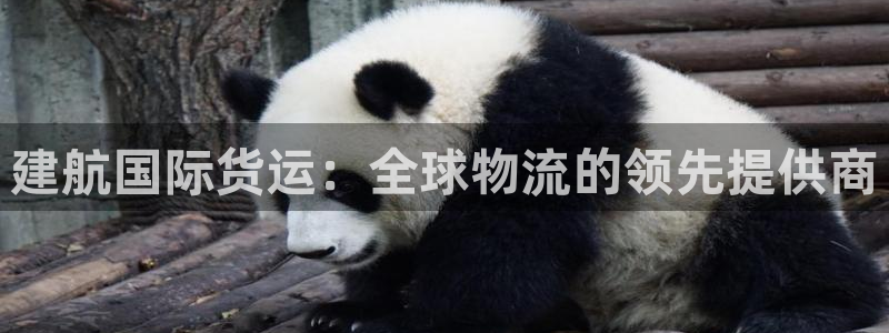 z6尊龙凯时官方：建航国际货运：全球物流的领先提供商
