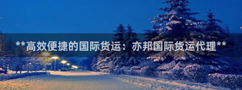尊龙凯时白家乐Abb下载：**高效便捷的国际货运：亦邦国