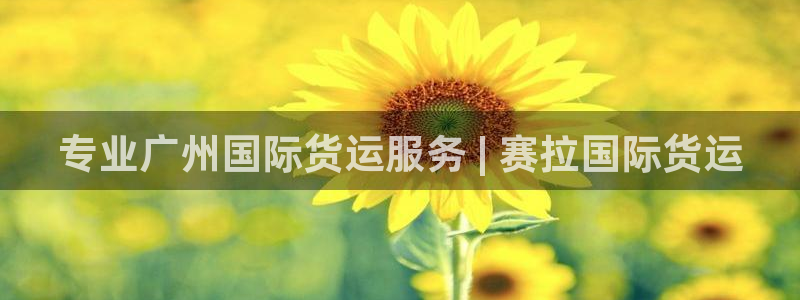尊龙d88手机登录免费下载：专业广州国际货运服务 | 赛