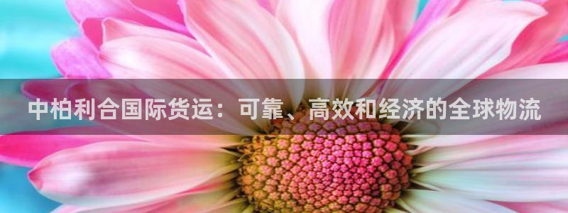 尊龙人生就是博登录网址下载：中柏利合国际货运：可靠、高效