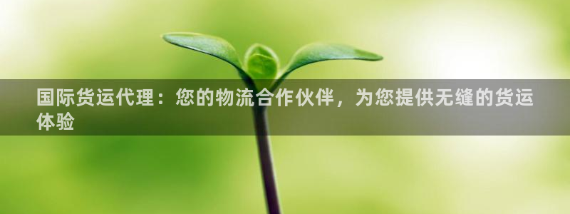 尊龙 贴吧：国际货运代理：您的物流合作伙伴，为您提供无缝