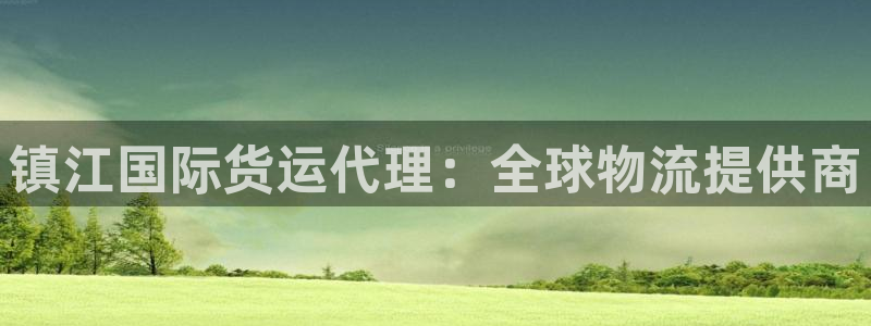 尊龙凯时代理官网入口：镇江国际货运代理：全球物流提供商