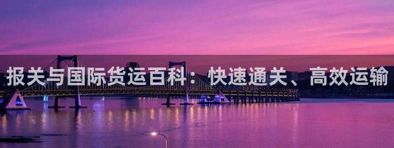 尊龙手机客户端app：报关与国际货运百科：快速通关、高效