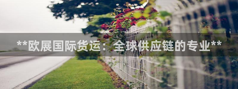 尊龙ag旗舰厅官网登录：**欧展国际货运：全球供应链的专