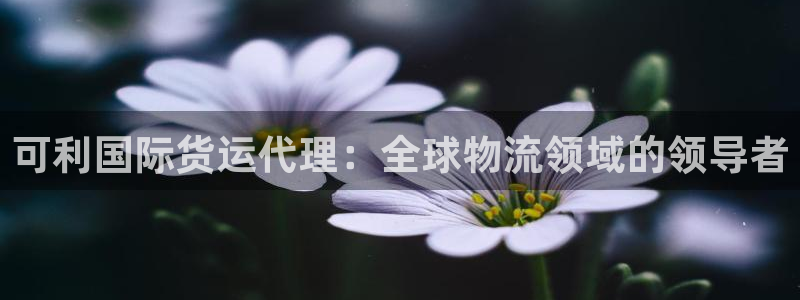 尊龙最新版：可利国际货运代理：全球物流领域的领导者