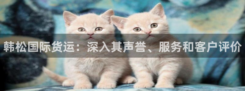 尊龙人生就是博官方官网：韩松国际货运：深入其声誉、服务和