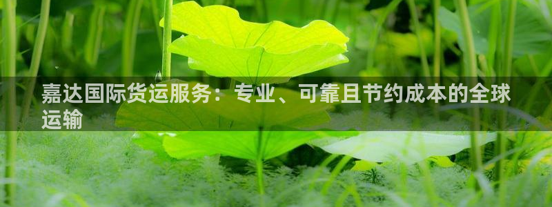 旧版尊龙人生就是博-ag旗舰平台尊龙|ag发财网来就送3