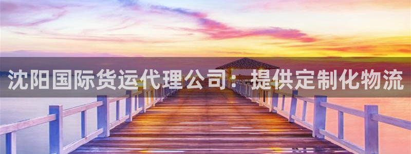 尊龙凯时导航菜单首页：沈阳国际货运代理公司：提供定制化物