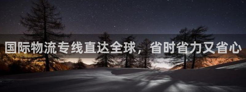 尊龙凯时下载官方正版：国际物流专线直达全球，省时省力又省