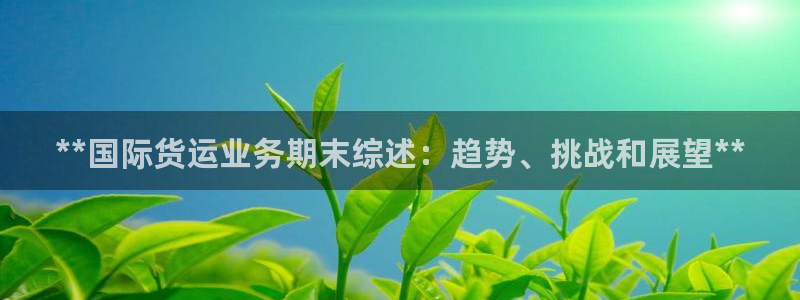 尊龙凯时城游戏官网：**国际货运业务期末综述：趋势、挑战