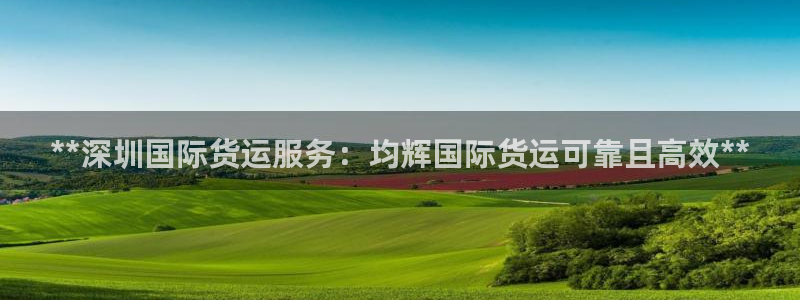 尊龙官方平台是正品吗：**深圳国际货运服务：均辉国际货运
