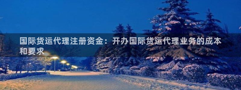 尊龙现金：国际货运代理注册资金：开办国际货运代理业务的成