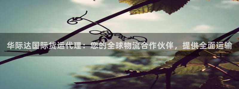 尊龙集团有限公司地址：华际达国际货运代理：您的全球物流合