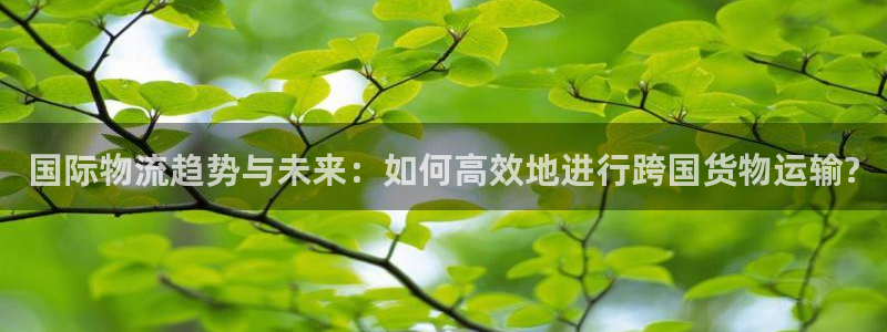 尊龙app最新版本官网