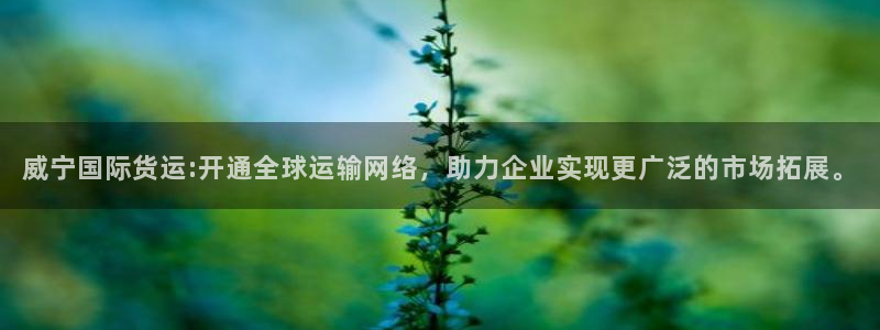 尊龙凯时d5138