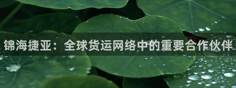 尊龙凯时人生就是博·(中国)官网最新
