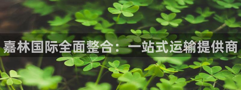 尊龙coming to my own