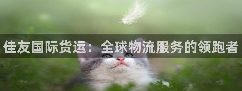 尊龙人生就是博l