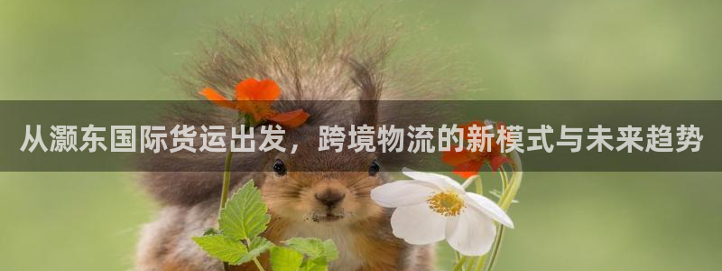 尊龙手机客户端app