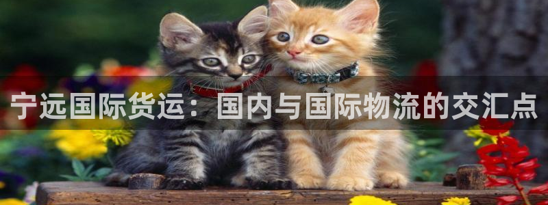 尊龙人生就是博AG