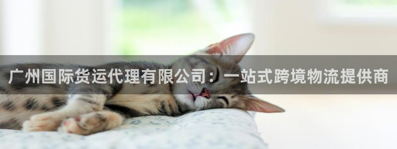 尊龙凯时为什么输了钱