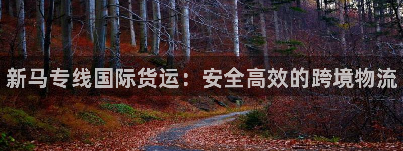 尊龙人生就是博旧版：新马专线国际货运：安全高效的跨境物流