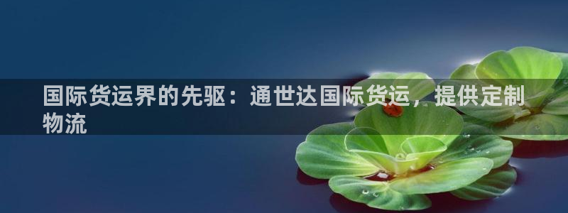 尊龙t600怎么样：国际货运界的先驱：通世达国际货运，提