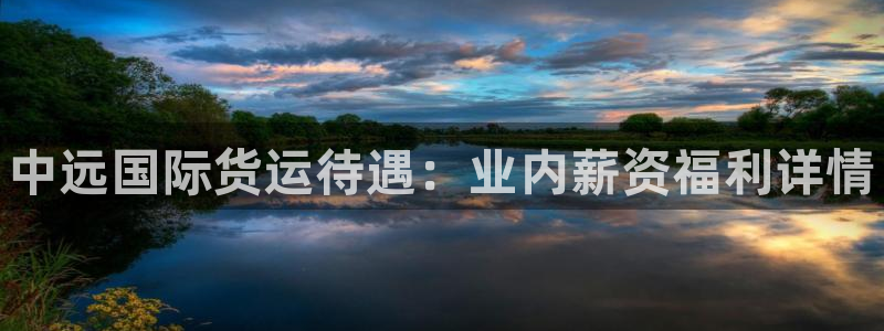 尊龙官网免费下载安卓：中远国际货运待遇：业内薪资福利详情