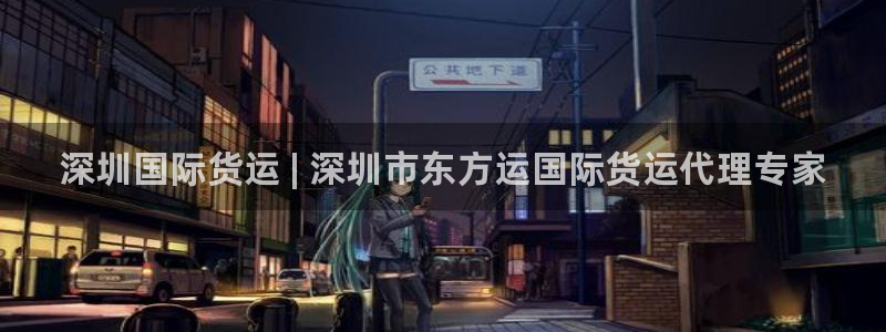 尊龙凯时有限公司：深圳国际货运 | 深圳市东方运国际货运