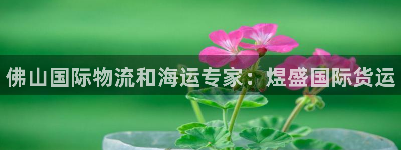 尊龙一人生就是博电子游戏：佛山国际物流和海运专家：煜盛国