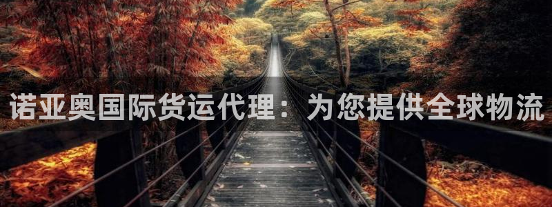 尊龙人生就是博旧版网址：诺亚奥国际货运代理：为您提供全球