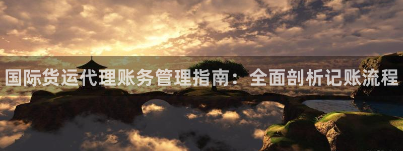 尊龙 5：国际货运代理账务管理指南：全面剖析记账流程