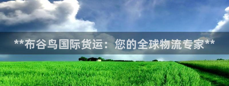 尊龙,人生就是博!登录国际：**布谷鸟国际货运：您的全球