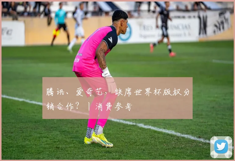 腾讯、爱奇艺，缺席世界杯版权分销合作？丨消费参考