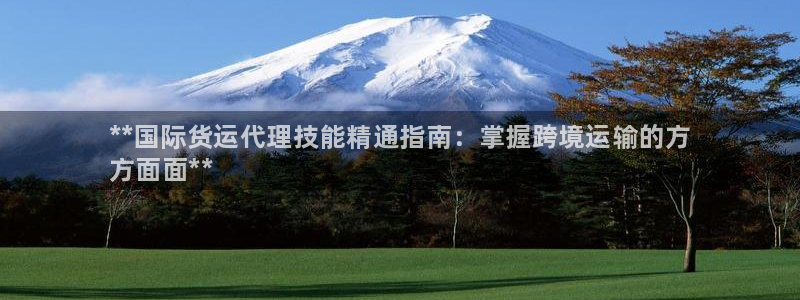 尊龙d88手机登录免费下载：**国际货运代理技能精通指南