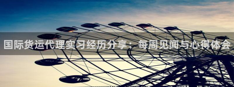 尊龙app登录不了：国际货运代理实习经历分享：每周见闻与